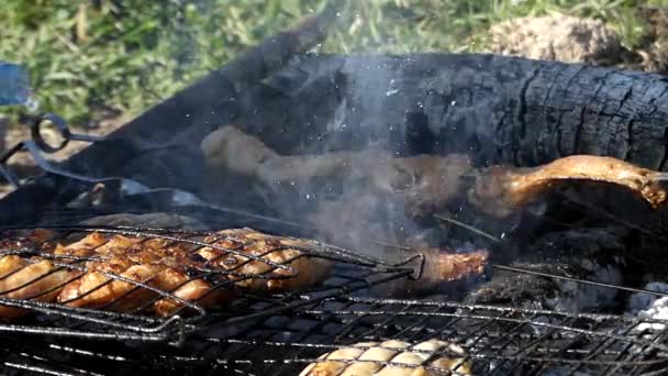 Cozinhar asas de frango e coxas em carvão ao ar livre . — Vídeo de Stock