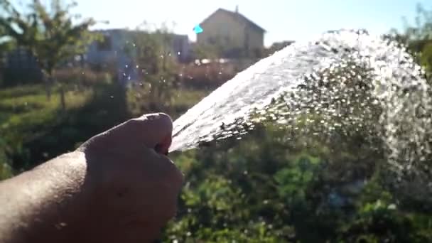 Рука садівник робить полив саду. — стокове відео
