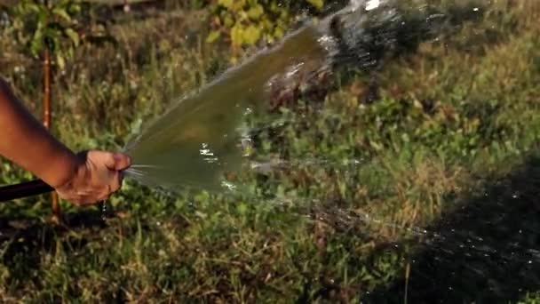 De Hand van de tuinman maakt het Bewateren van de tuin. — Stockvideo