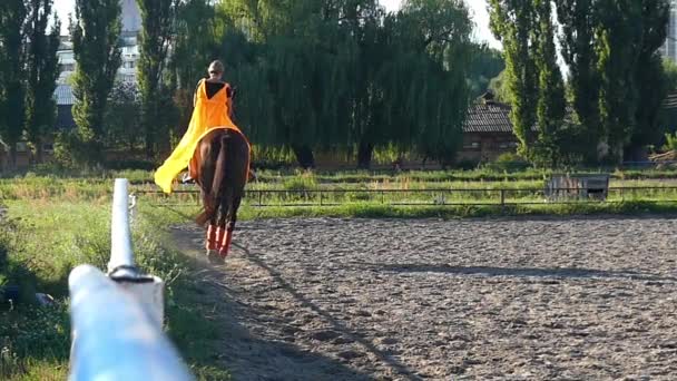 Une femme chevauchant à cheval au ralenti . — Video