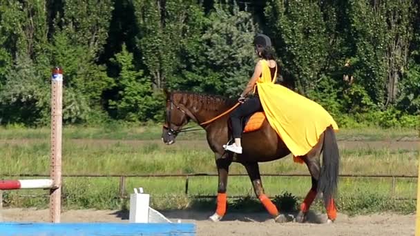 Scuola di cavallo: Ragazza che studia equitazione a cavallo in slow motion . — Video Stock