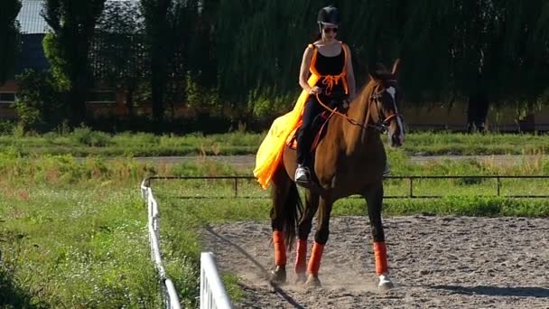 Horse school: meisje studeert rijden op het paard in slow motion. — Stockvideo