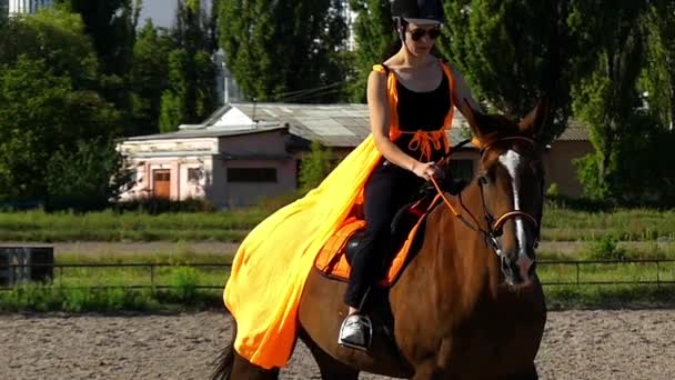 Fille apprend à monter un cheval dans une cage spéciale. Mouvement lent . — Video