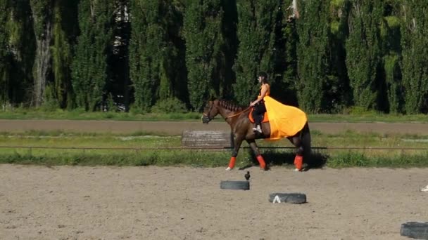 Garota aprende a montar um cavalo em uma gaiola especial. Movimento lento . — Vídeo de Stock