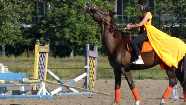 Mujer jinete sentado en el caballo marrón y caballo no escuchar al jinete . — Vídeo de stock