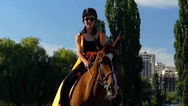 馬は、スローモーションで彼女の頭をうなずきます。馬に乗って座っているライダー女性. — ストック動画
