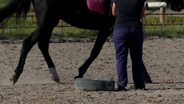 Nohy na koni v pomalém pohybu. — Stock video