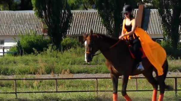 Mädchen mit Helm und Sonnenbrille auf dem Pferd. Zeitlupe. — Stockvideo