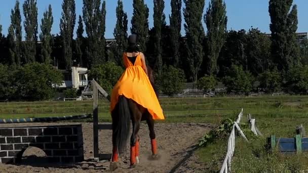 Dívka na koni na koně. Pohled zezadu. Zpomalený pohyb. — Stock video