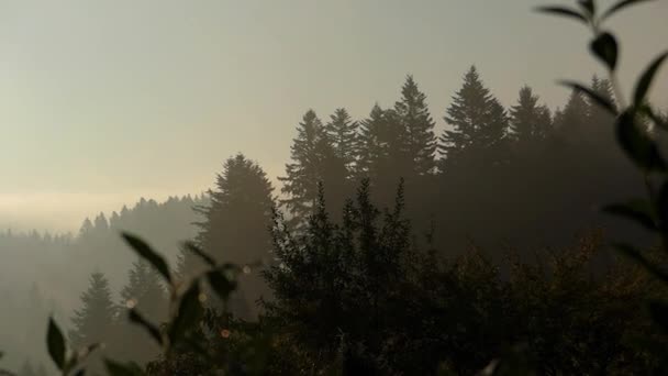 Pegunungan Carpathians di pagi hari. Panorama . — Stok Video