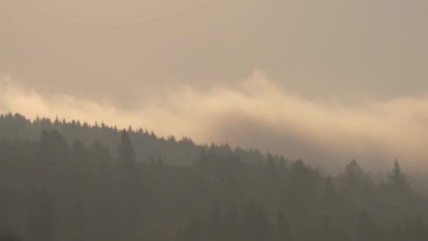 Moln och dimma i tid förfaller i bergskedjan Karpaterna. — Stockvideo