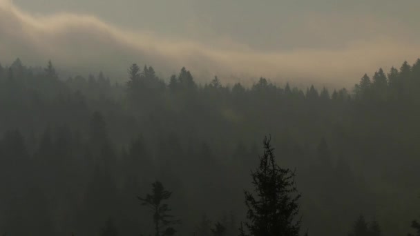 Nubes y niebla en el lapso de tiempo en las montañas de los Cárpatos . — Vídeo de stock