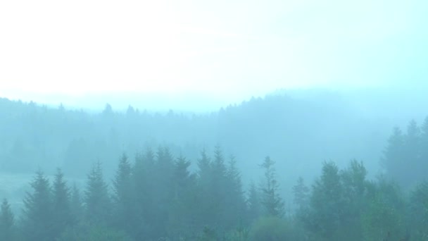 Ουκρανικά βουνά στο ο καιρός της ομίχλης. Πανόραμα. — Αρχείο Βίντεο