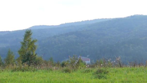 Panorama depuis le sommet de la montagne . — Video