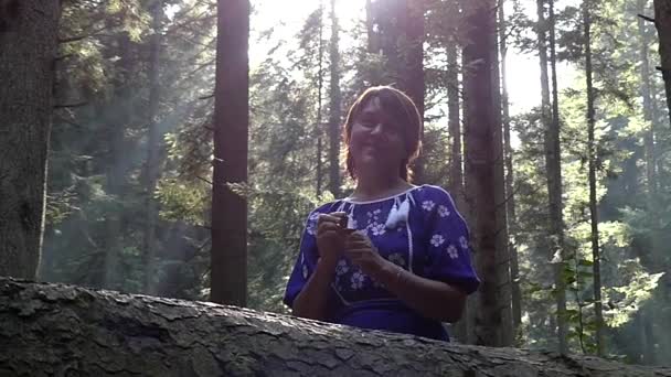 Mujer bajo el sol de pie en el bosque y sonriendo . — Vídeo de stock
