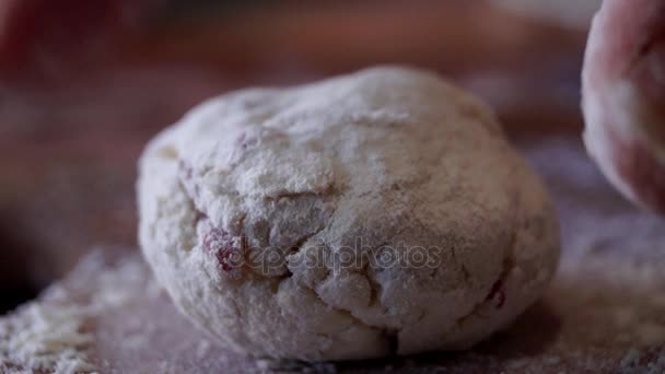 Hand Takes the Dough Ball and Rolls It. Close up Shot. — Stock Video