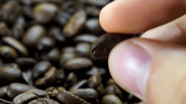 Dedos manteniendo un grano de café — Vídeos de Stock