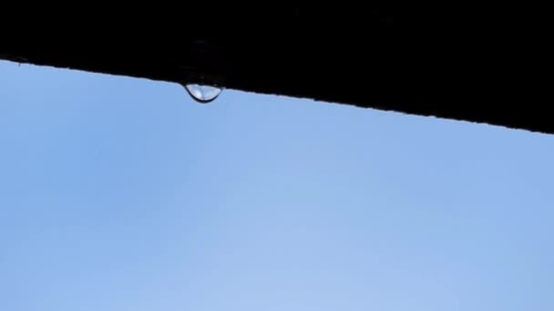 Ein Wassertropfen, der von einem Fenstersims fällt. — Stockvideo