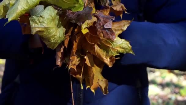 En vacker kvinna kastar hösten lämnar — Stockvideo
