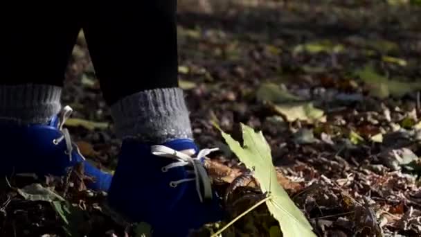 Frauenstiefel im Herbstwald treten Laub. — Stockvideo