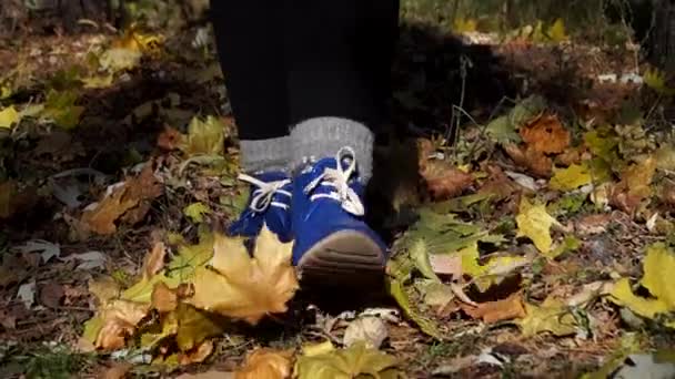 女人的蓝色靴子在秋天森林重新洗牌. — 图库视频影像