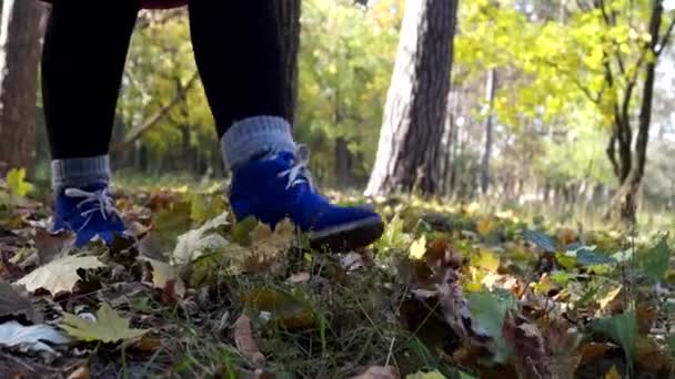 Pies de mujer Shuffling en algún bosque de otoño . — Vídeos de Stock