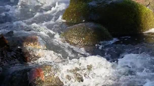 Ett vattenfall i skogen bland gamla stenblock. — Stockvideo