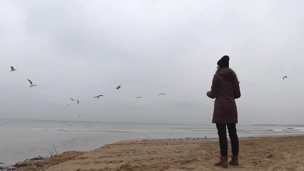 Ação bonito: uma menina alimentando gaivotas em câmera lenta . — Vídeo de Stock