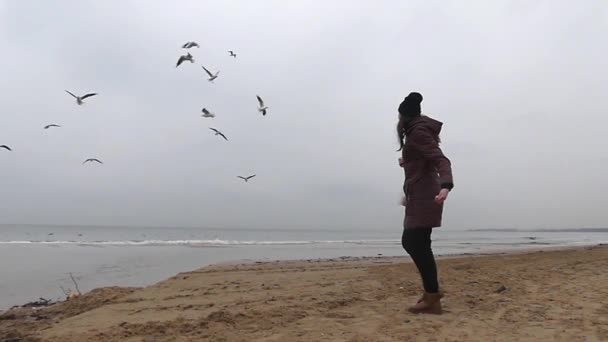 Una chica alimentando gaviotas en cámara lenta . — Vídeo de stock