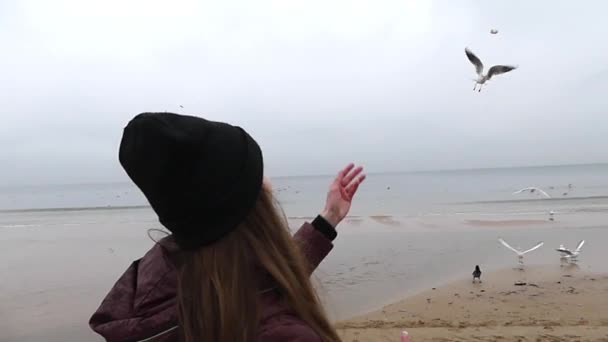 Una chica alimentando gaviotas en cámara lenta . — Vídeo de stock