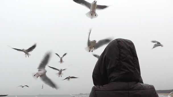 Uma menina alimentando gaivotas em câmera lenta . — Vídeo de Stock