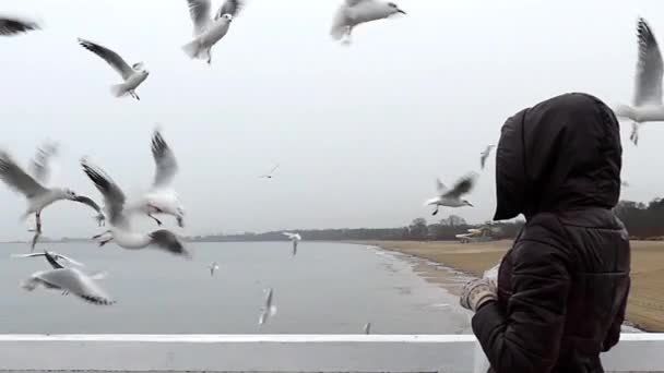 Una chica alimentando gaviotas en cámara lenta . — Vídeo de stock