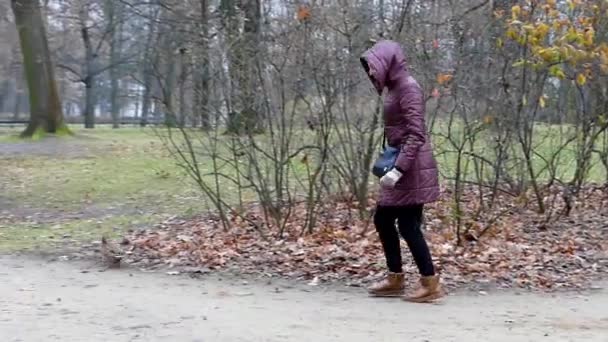 Flickan går för en anka i parken. — Stockvideo