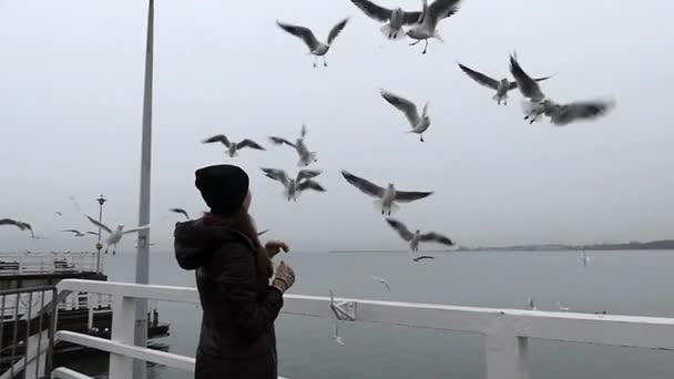 Gaviotas alimentadas por una chica en un muelle en cámara lenta . — Vídeo de stock