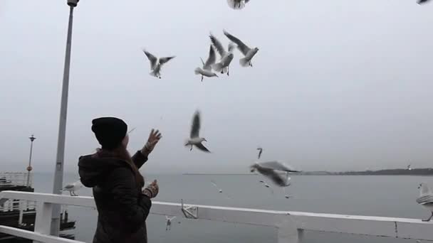 Uma menina alimentando gaivotas em movimento lento . — Vídeo de Stock