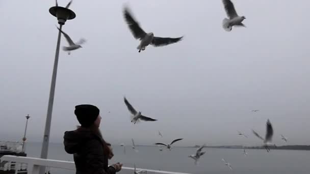 Ein Mädchen füttert Möwen, die in Zeitlupe fliegen. — Stockvideo