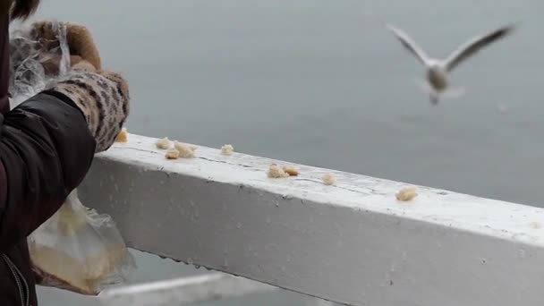 Mädchenhände bringen Brot in Zeitlupe. — Stockvideo