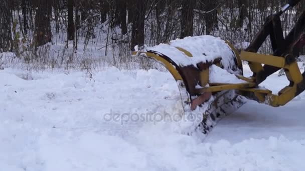 Uno spazzaneve che rimuove la neve nella foresta invernale . — Video Stock