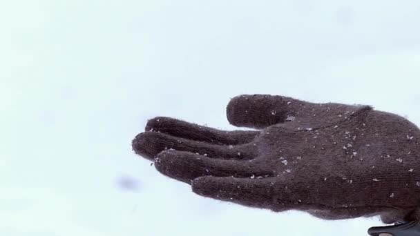 Eine Mädchenhand mit Schneeflocken darauf im Dezember. — Stockvideo