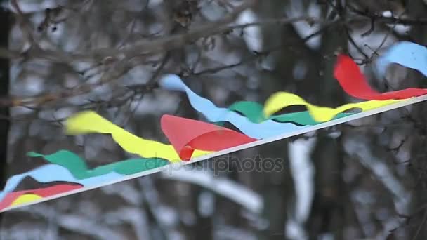 Drapeaux de sport suspendus dans une rangée par temps orageux . — Video