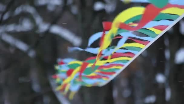 Drapeaux sportifs en hiver orageux . — Video