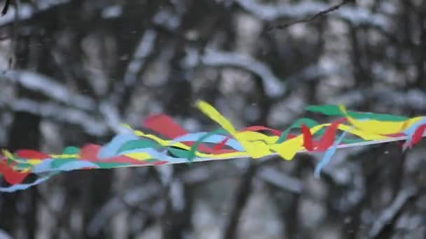 Banners de colores en el bosque en un clima nevado . — Vídeo de stock