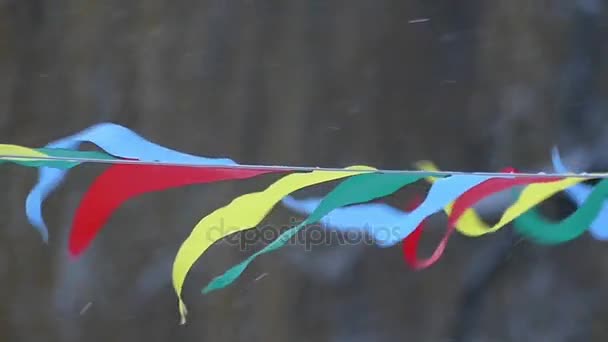 Bandeiras coloridas do esporte em um tempo nevado na floresta . — Vídeo de Stock