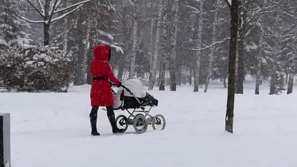 Een jonge vrouw met een kinderwagen onder berken in Slo-Mo. — Stockvideo