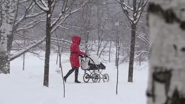 Una mujer joven con un carnero en invierno en Slo-Mo — Vídeo de stock