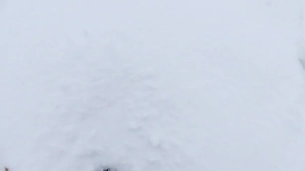 Gambe di un uomo che si muove in neve profonda in movimento lento . — Video Stock