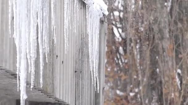 Un sacco di grandi ghiaccioli in un angolo olandese . — Video Stock
