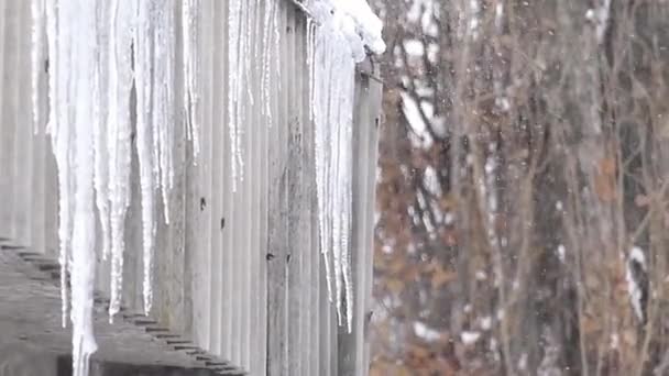 A lot of Big Icicles in a Dutch Angle . — стоковое видео