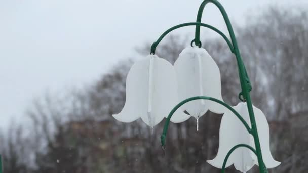 Drei blumenförmige Lampen mit Eiszapfen in einem Park — Stockvideo