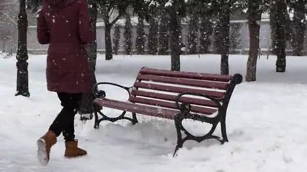 Una ragazza che si siede su una panchina nella nevicata — Video Stock